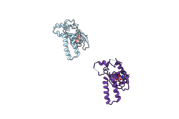 4D7T image