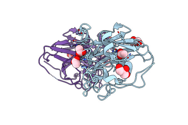 4D7V image