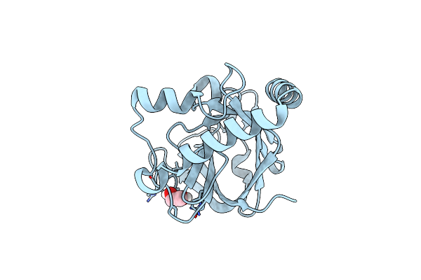 4D7W image