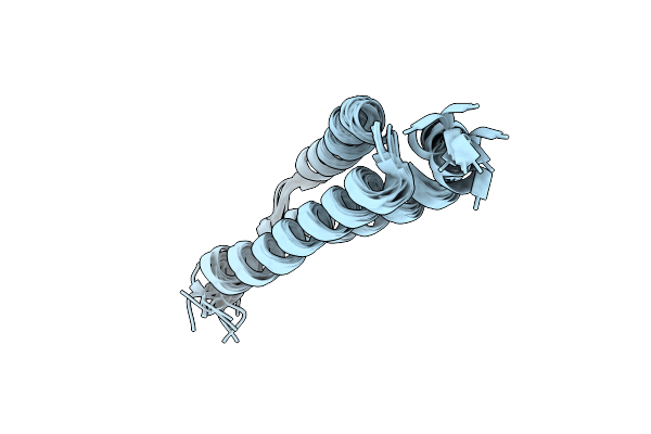 4D7X image