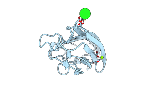 4D7Y image