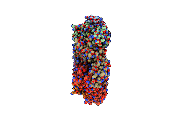 4D80 image