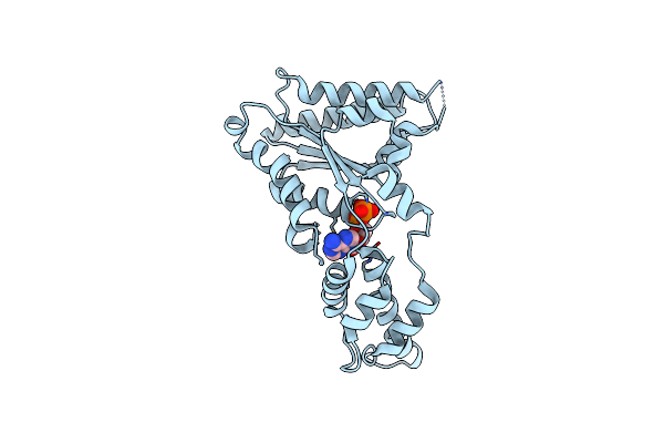 4D81 image