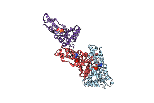 4D82 image
