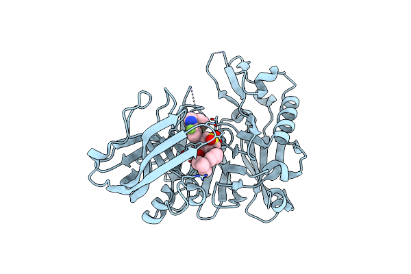 4D85 image
