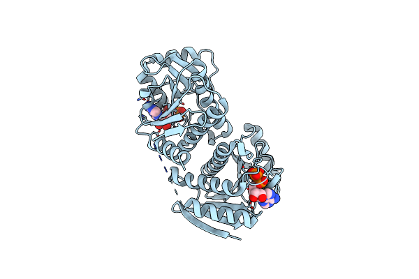 4D86 image
