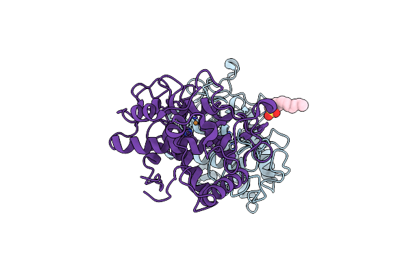 4D87 image