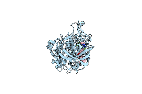 4D89 image