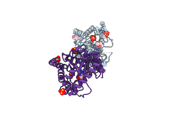 4D8A image
