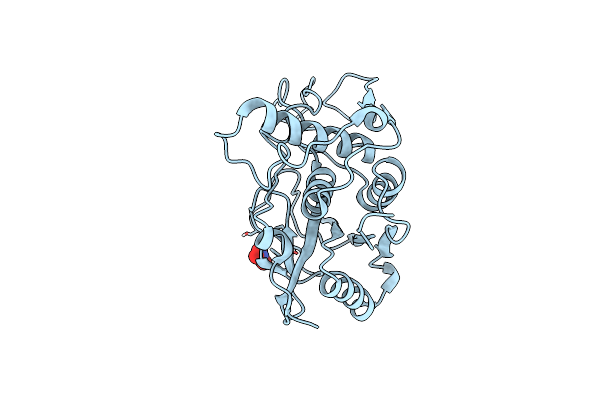 4D8B image