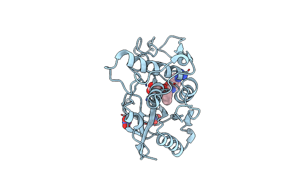 4D8E image