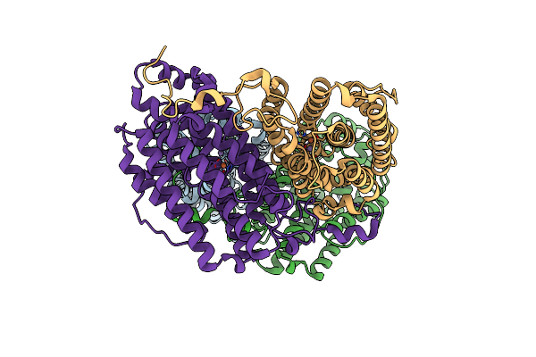 4D8G image