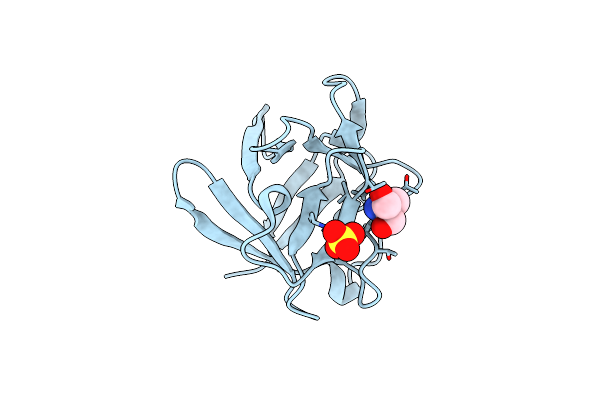 4D8H image
