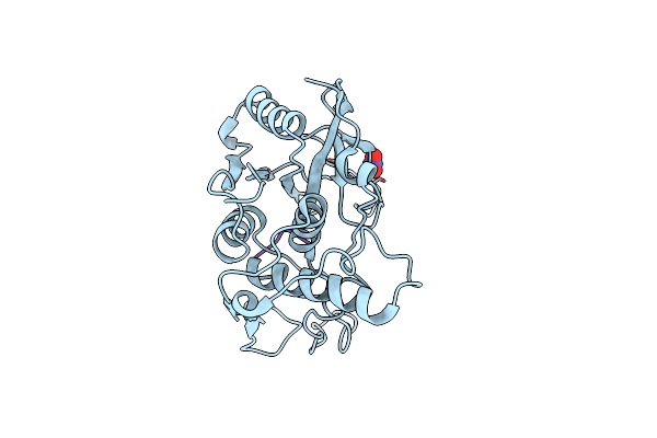 4D8I image