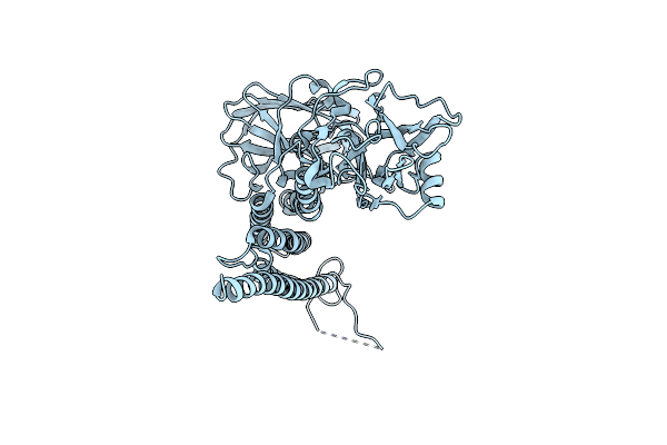 4D8M image