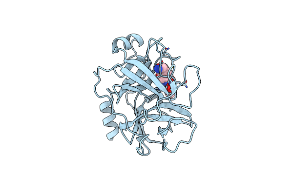 4D8N image