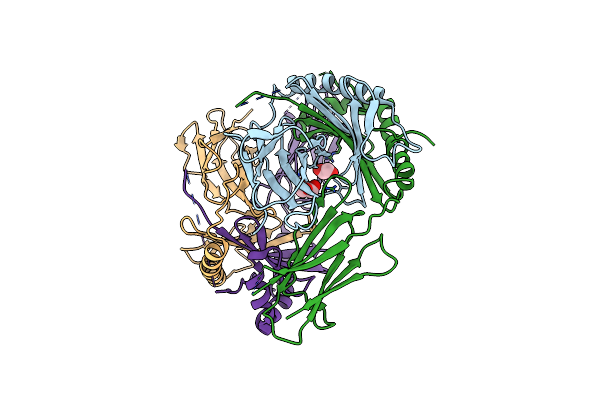 4D8P image