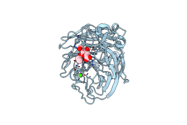 4D8S image