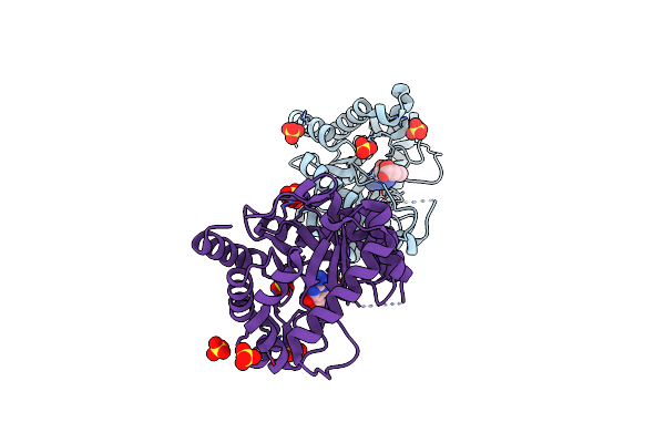 4D8Z image