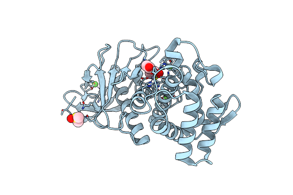 4D91 image