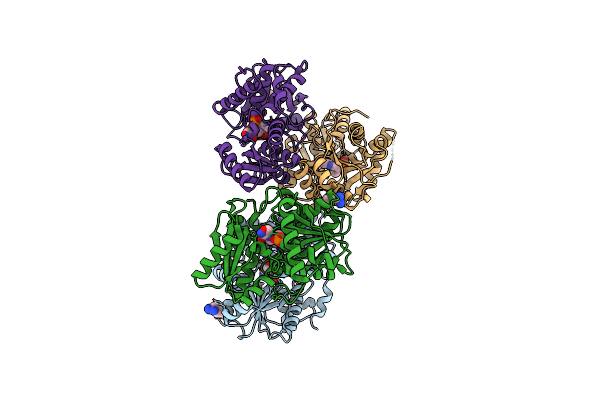 4D9F image
