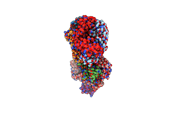 4D9L image