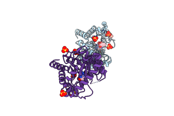 4D9P image