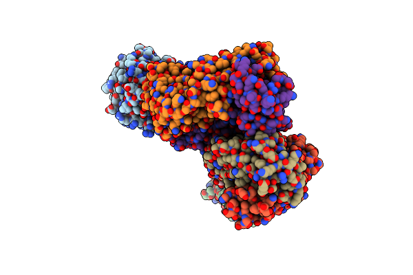 4D9Q image