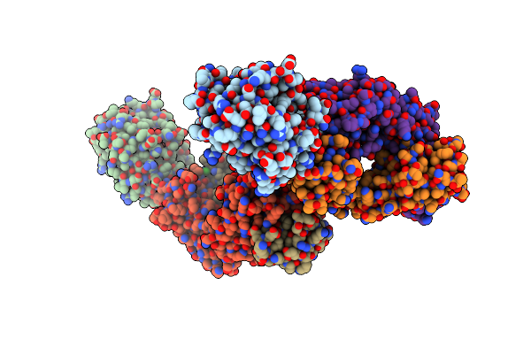 4D9R image