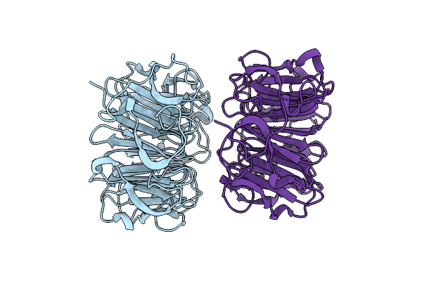 4D9S image