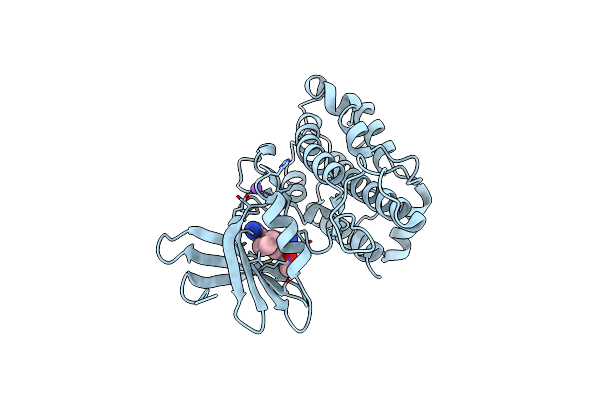 4D9T image