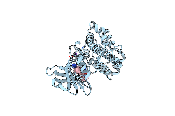 4D9U image