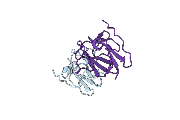 4D9V image