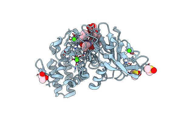 4D9W image