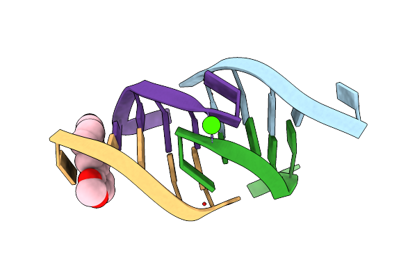 4D9X image