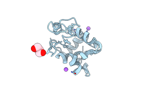 4D9Z image