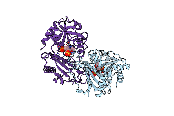 4DAA image