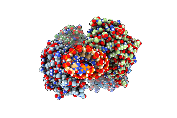 4DB2 image