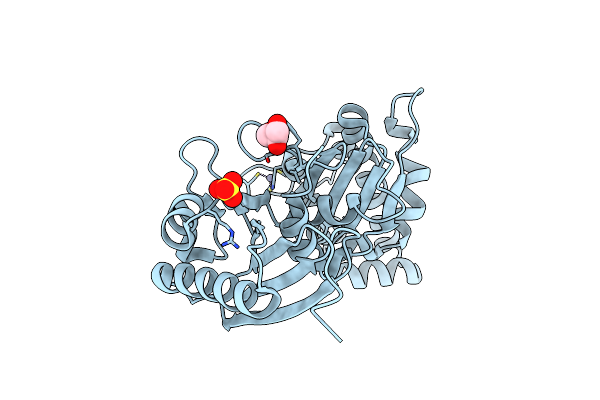 4DB3 image