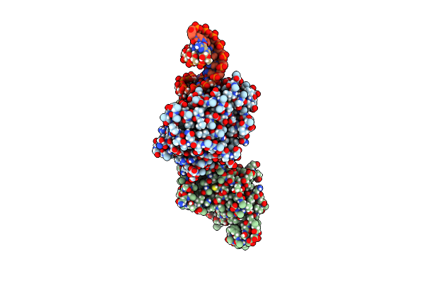 4DB4 image