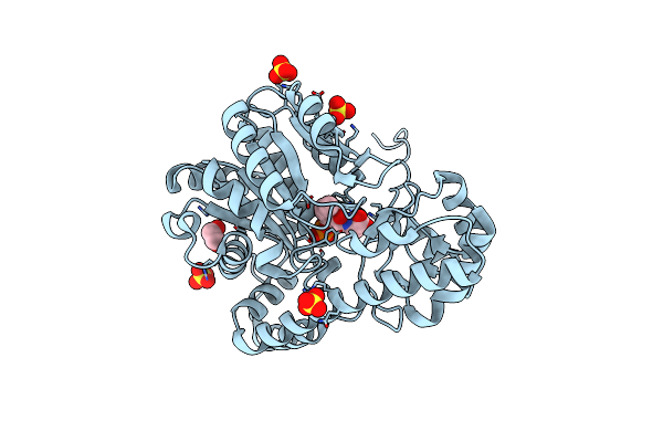 4DBC image