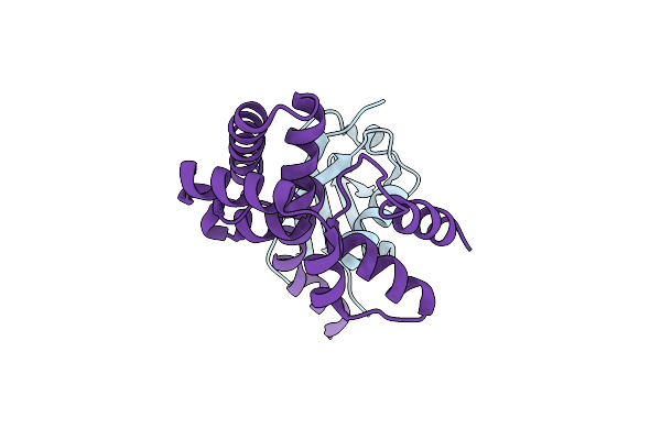 4DBG image