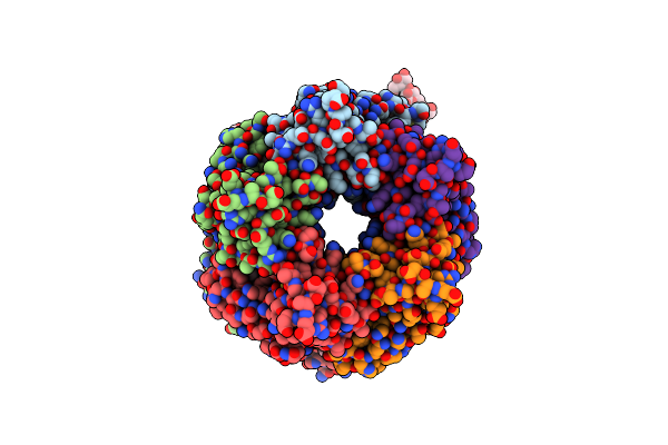 4DBM image