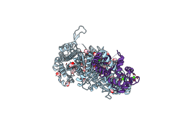 4DBP image