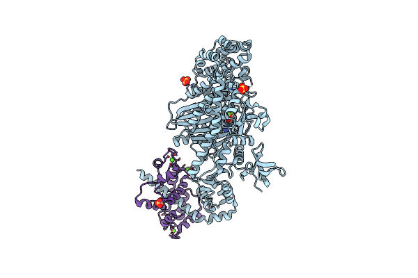 4DBQ image