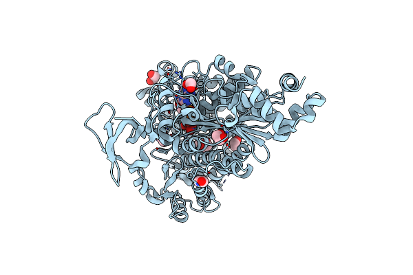 4DBR image