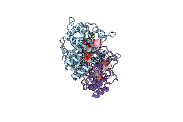 4DBS image