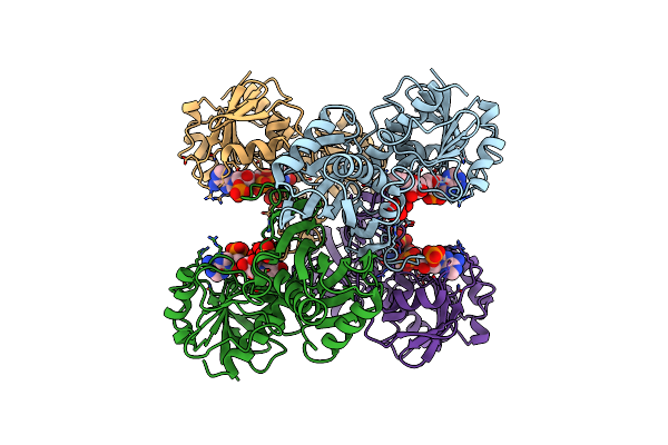 4DBV image
