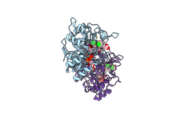 4DBW image
