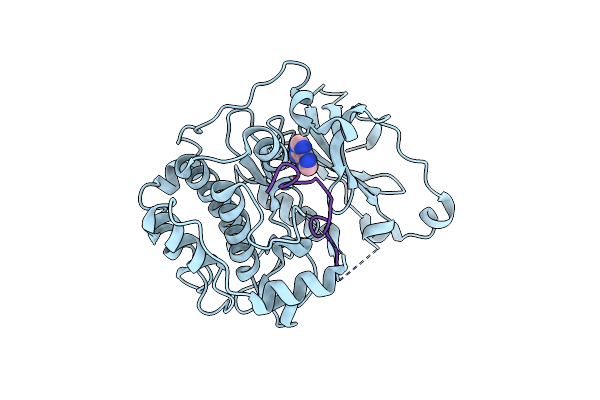 4DC2 image